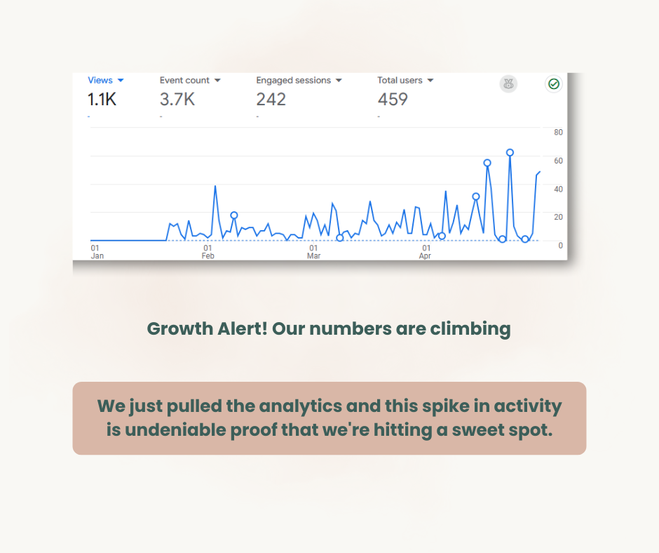 Website Analytics Growth – User Engagement & Traffic Spike